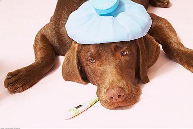 《Scorchlands》7月登陆PC平台 月面建设经营